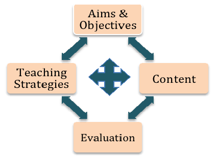 elements of curriculum design