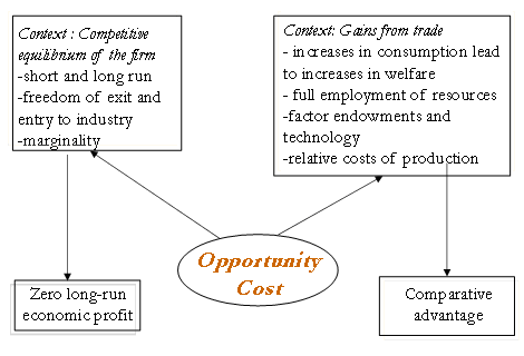 Threshold Concepts in Economics